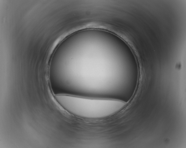 X0000112511342200908171038