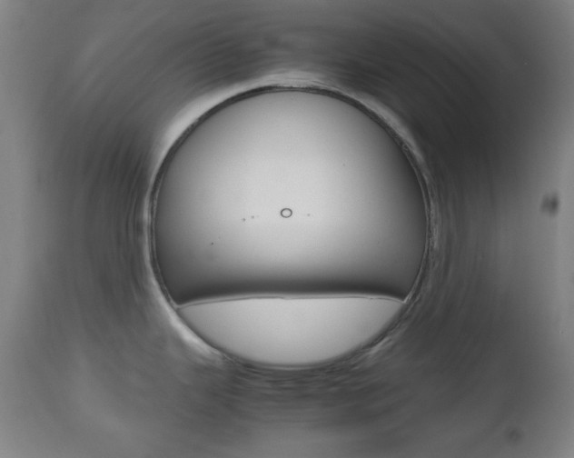 X0000112511343200908171038