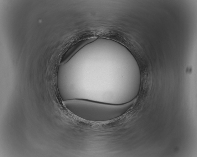 X0000112511345200908171038