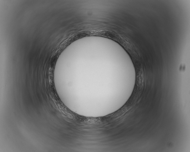 X0000112511346200908171038