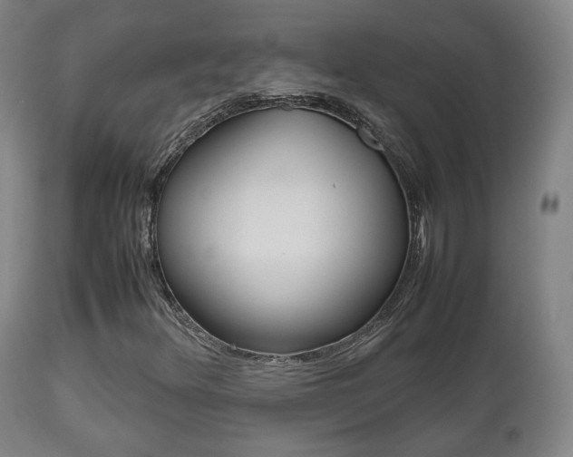X0000112511348200908171038