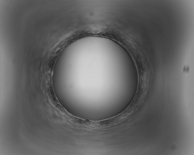 X0000112511349200908171038
