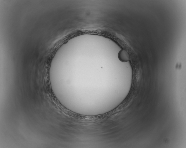 X0000112511350200908171038
