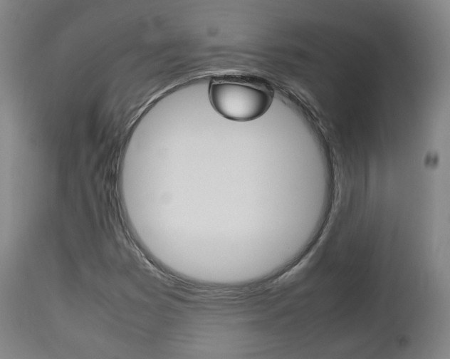 X0000112511353200908171038