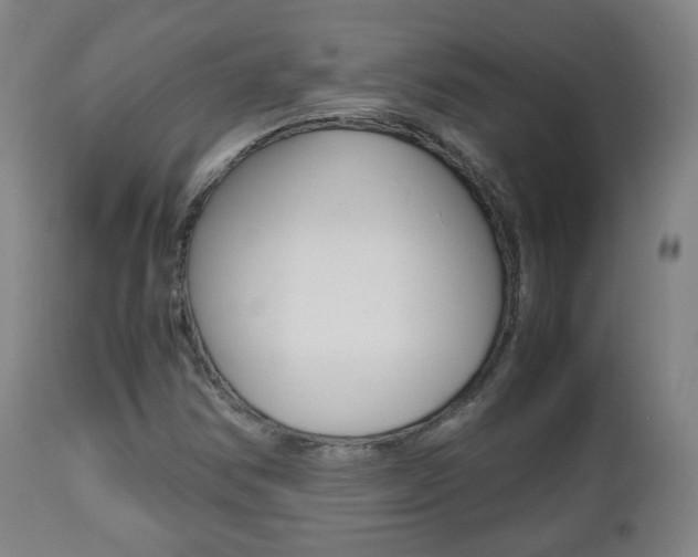 X0000112511354200908171038