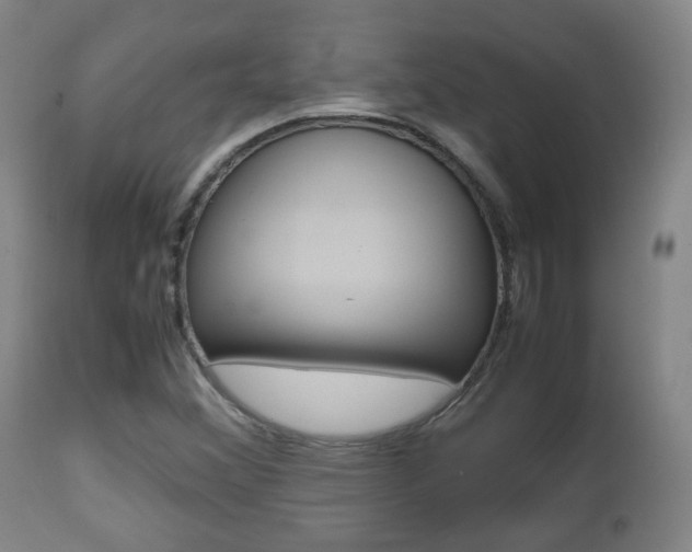 X0000112511356200908171038