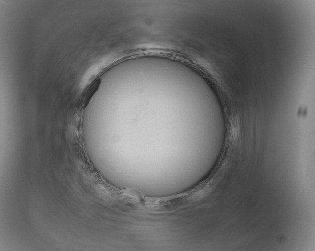 X0000112511357200908171037