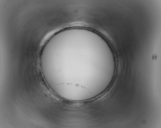 X0000112511358200908171037