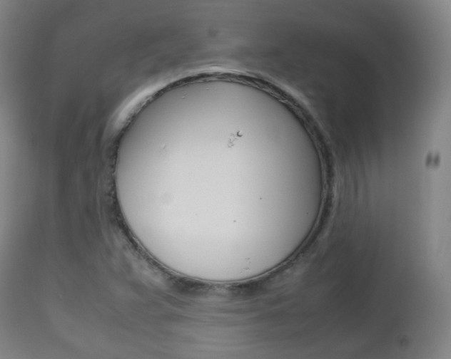 X0000112511359200908171037