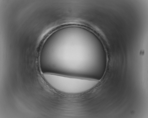 X0000112511360200908171037