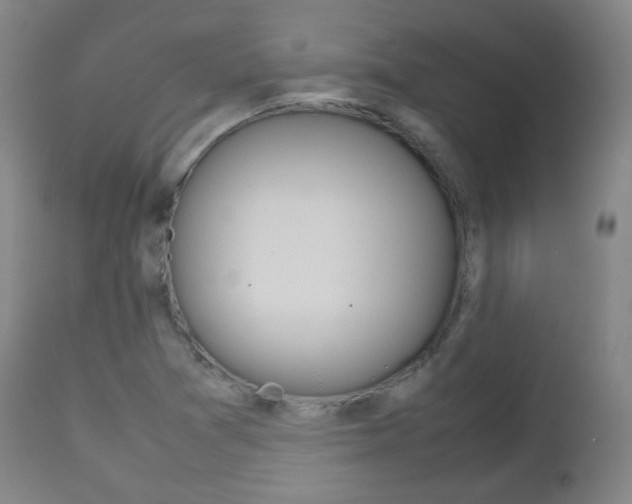 X0000112511361200908171037