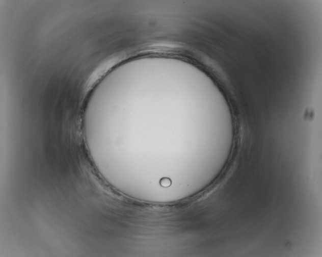 X0000112511362200908171037