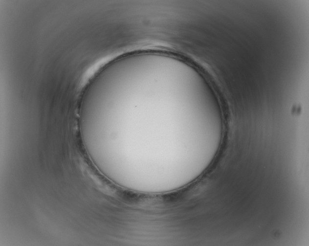 X0000112511363200908171037
