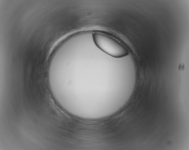 X0000112511364200908171037