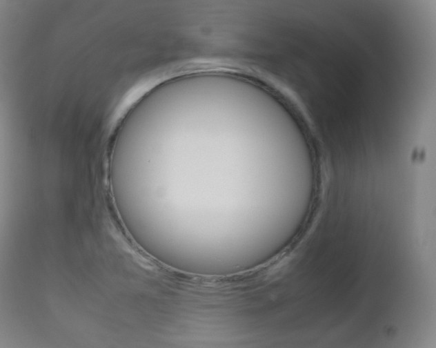 X0000112511365200908171037