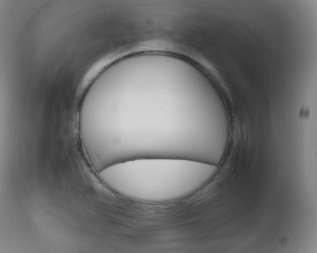 X0000112511366200908171037