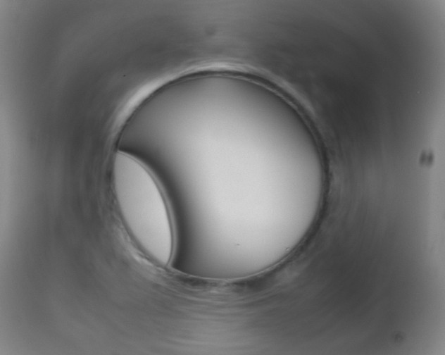 X0000112511367200908171037