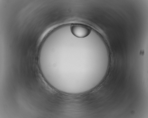 X0000112511368200908171037