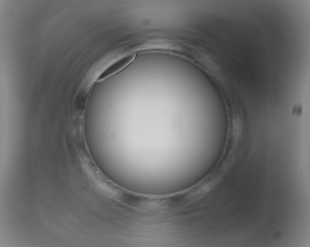 X0000112511369200908171037