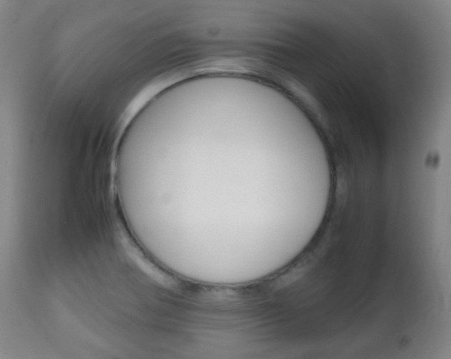 X0000112511370200908171037