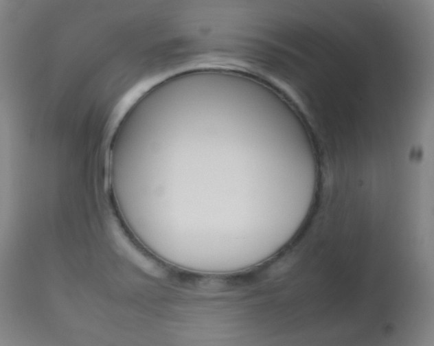 X0000112511371200908171037