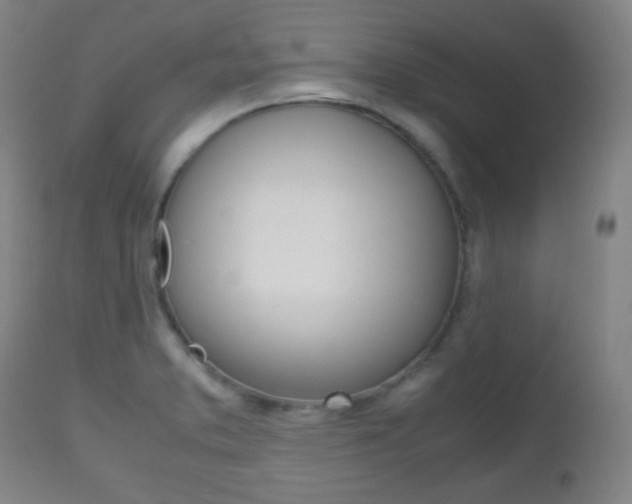 X0000112511373200908171037