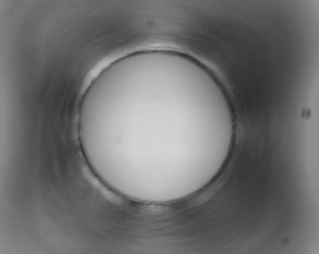 X0000112511374200908171037