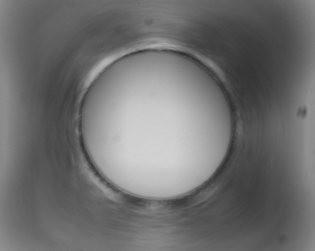 X0000112511375200908171037