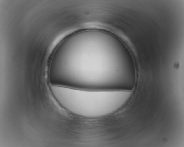 X0000112511376200908171037