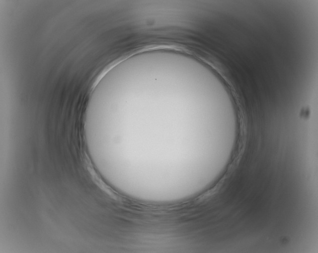 X0000112511377200908171037