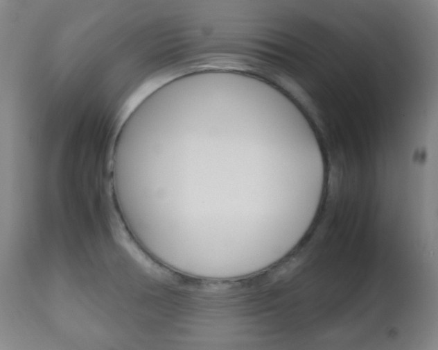 X0000112511378200908171037
