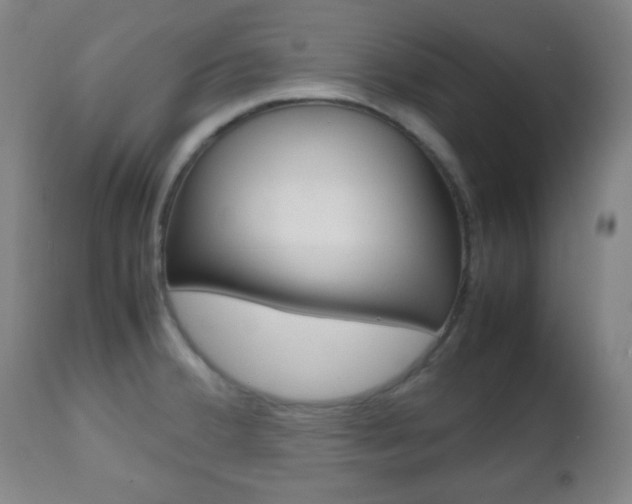 X0000112511380200908171037