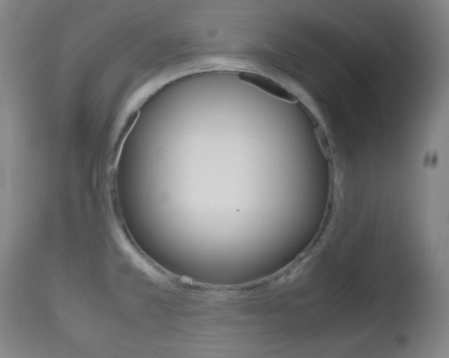 X0000112511381200908171037