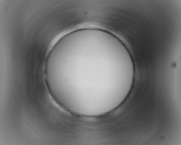 X0000112511382200908171037