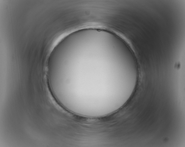 X0000112511383200908171037