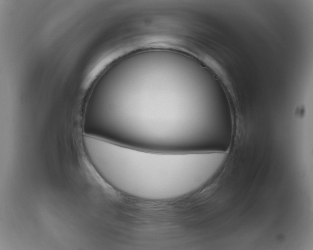 X0000112511384200908171037