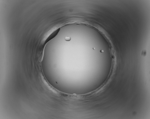 X0000112511385200908171037