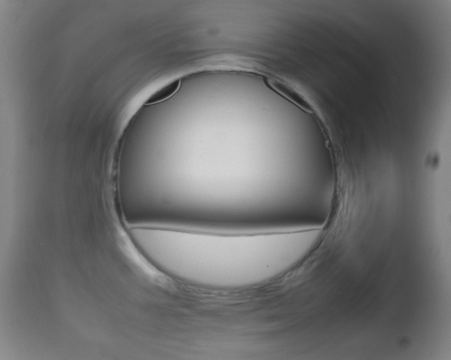 X0000112511387200908171037