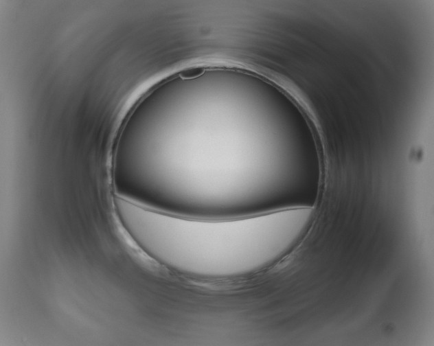 X0000112511388200908171037