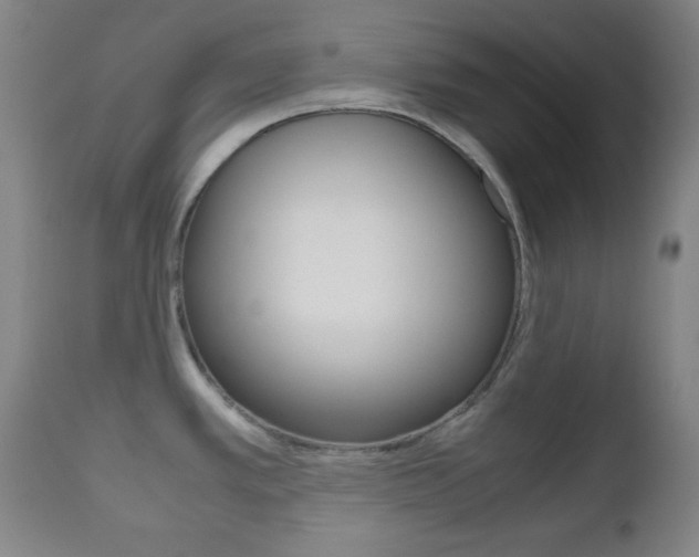 X0000112511389200908171037