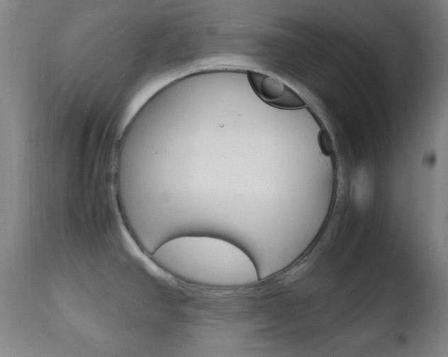 X0000112511390200908171037