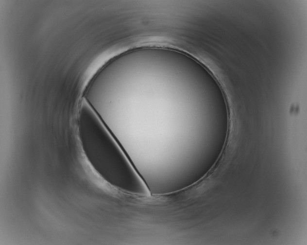 X0000112511392200908171037