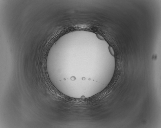 X0000112511393200908171036