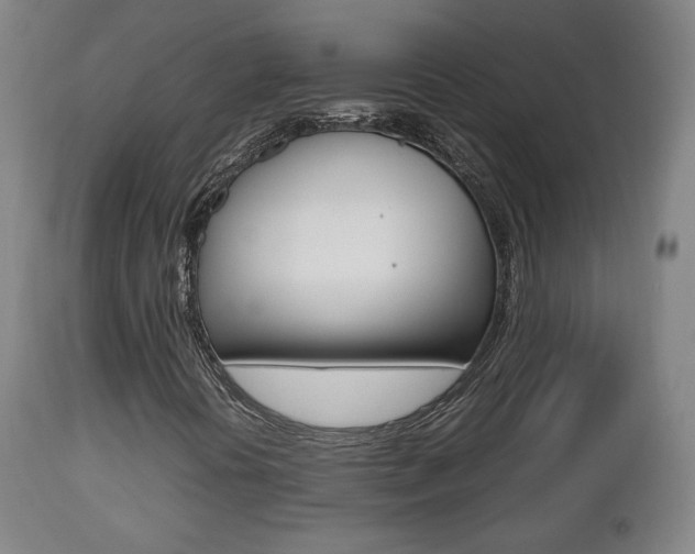 X0000112511394200908171036