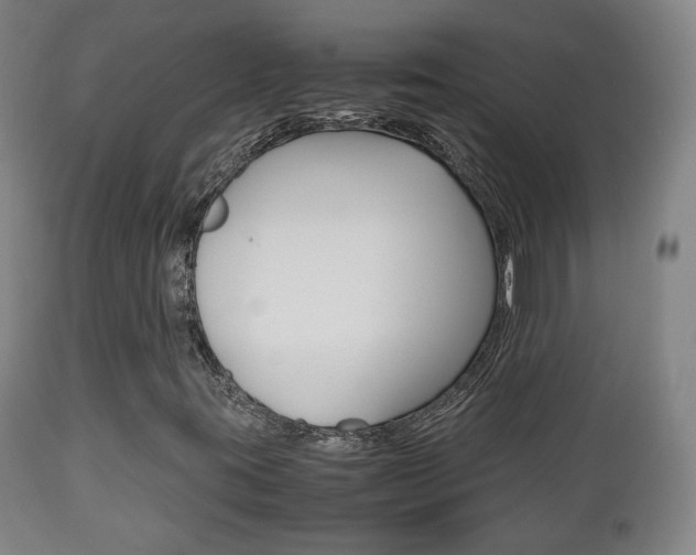 X0000112511395200908171036