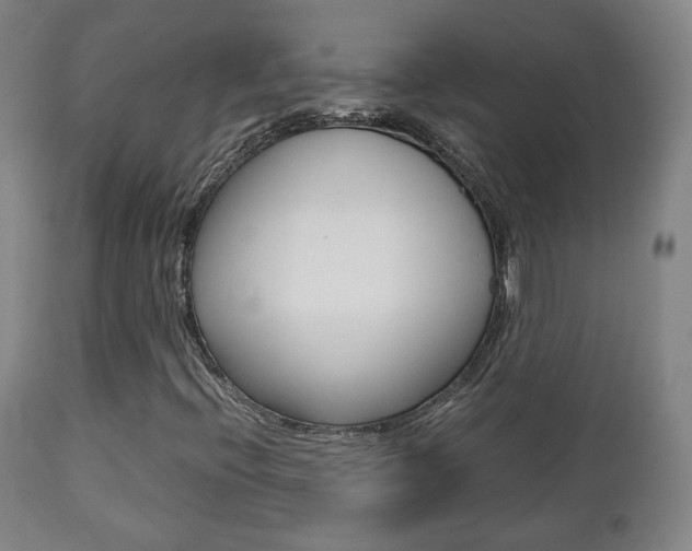 X0000112511396200908171036