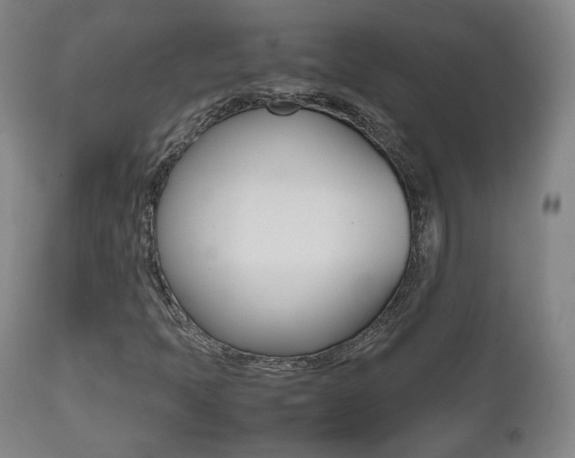 X0000112511397200908171036