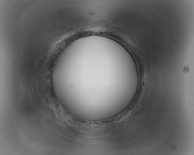 X0000112511398200908171036