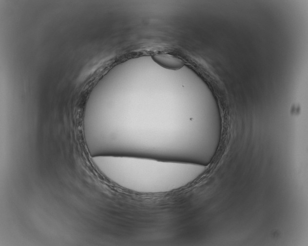 X0000112511399200908171036