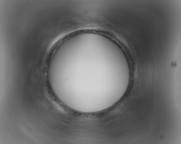 X0000112511400200908171036